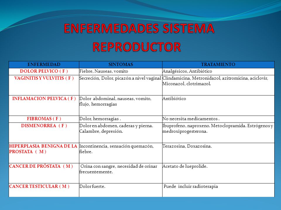 Enfermedades del aparato reproductor masculino imagenes